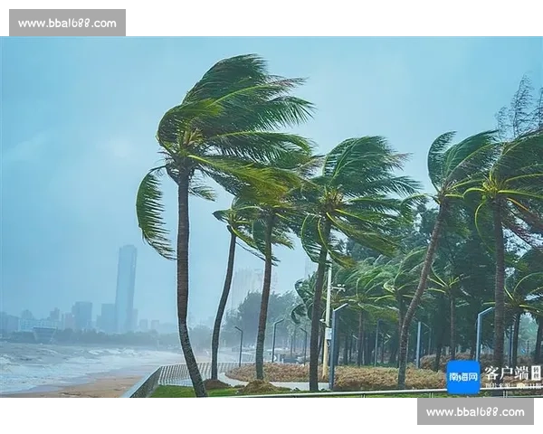 超强台风来袭深入解析其形成机制影响范围与防御应对策略